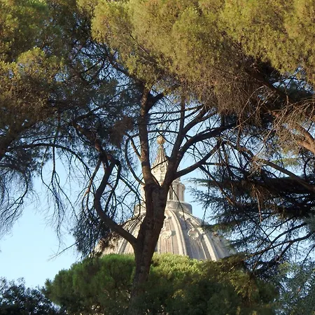 CupolHome - Meraviglia A San Pietro-2